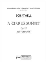 A Cirrus sunset P.O.D. cover